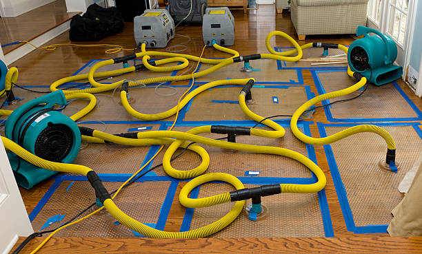 Professional Crawl Space Water Removal technician working in Harrietta, MI